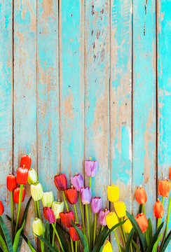 Tulip blossom flowers on vintage wooden background, border  frame design. vintage color tone - concept flower of spring or summer background