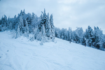 Fototapeta na wymiar winter landscape in Predeal, Romania