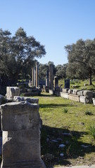 Fototapeta premium Iassos ancient city(Iassos antik kenti)