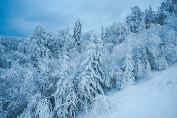 winter landscape in Predeal, Romania