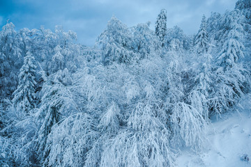 winter landscape in Predeal, Romania