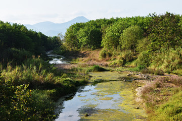 Fototapeta na wymiar River with rubber plantation and green forests on the shore, Creek in tropical nature with mountain and blue sky in background, Thailand