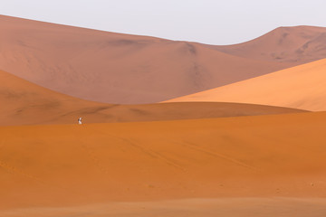 Fototapeta na wymiar Tourist taking a photo dressed in white on orange sand dunes in Sossusvlei, Namibia