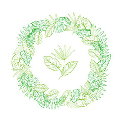 Round frame with tropical leaves. Template for your postcard. Hand-drawn linear illustration.