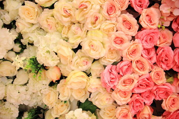 Colorful roses background, valentines's and wedding concept.