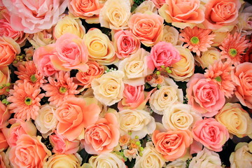 Fototapeta na wymiar Colorful roses background, valentines's and wedding concept.