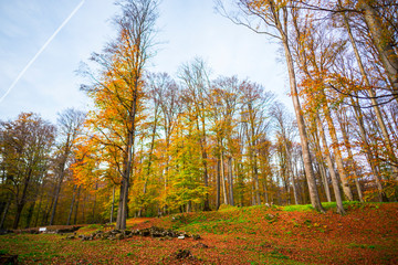 Autumn landscape at Sarmisegetusa , Romania