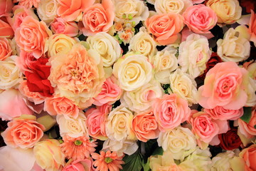 Colorful roses background, valentines's and wedding concept.