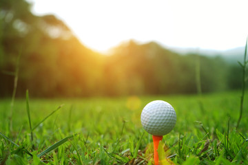 golf ball in beautiful golf course with sunset. Golf ball close up in golf coures at Thailand