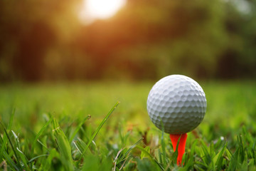 golf ball in beautiful golf course with sunset. Golf ball close up in golf coures at Thailand
