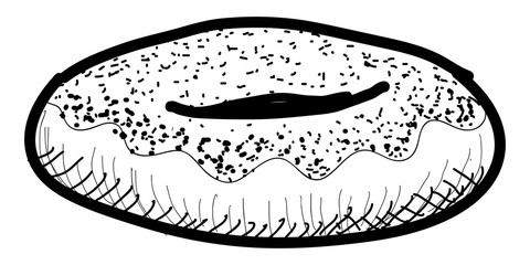 Isolated vintage sketch of a donut. Vector illustration design