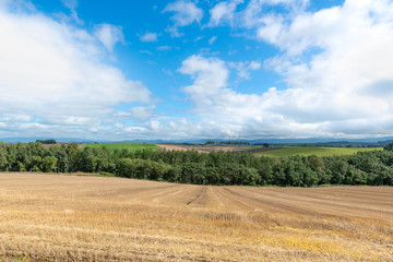 晴れた日の美瑛の丘 / 北海道美瑛町の観光イメージ