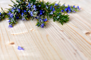 Fototapeta na wymiar Bunch of blooming rosemary twigs with beautiful blue flowers on the upper side of a natural bright pale wooden surface. Copy space. Soft focus.