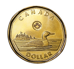 Canada's one dollar coin features a loon, a common waterfowl in Canada's wilderness areas.