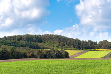 北海道の農場 / ニセコ周辺