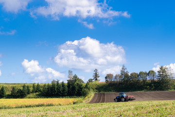 Naklejka premium 北海道の農場 / ニセコ周辺