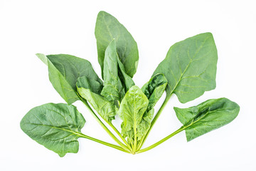 a fresh spinach on a white background