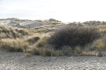 Obraz premium Formby Beach