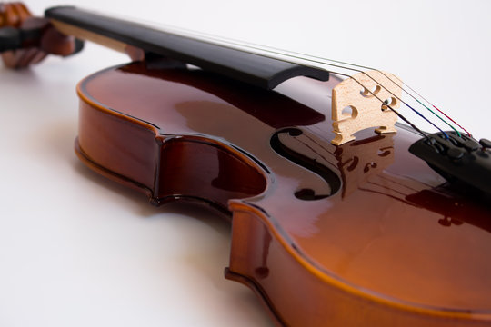 Violin in white background with bow
