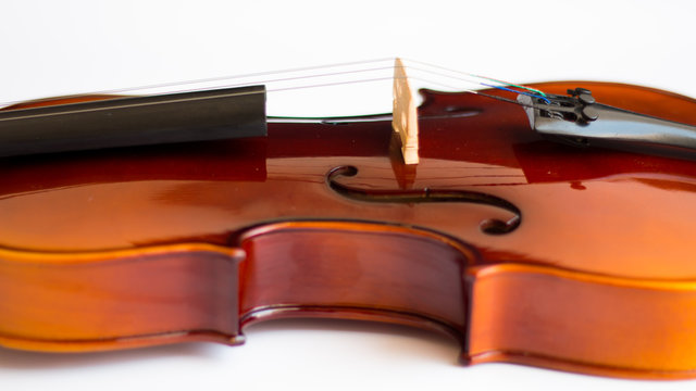 Violin in white background with bow
