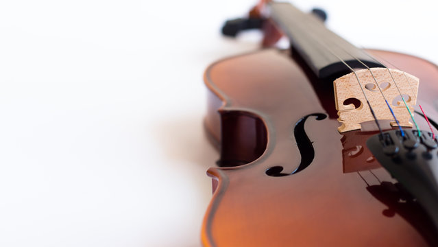 Violin in white background with bow