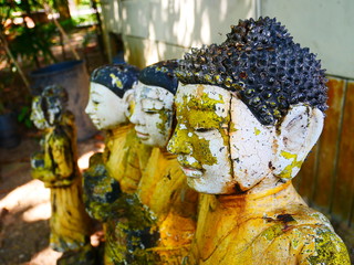 statue of buddha in temple