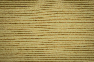 Wood texture and background