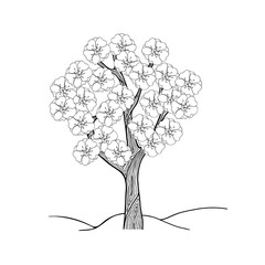 Hand drawing doodle blossom tree: plum, peach and cherry. Stylization and fantasy. Black and white isolated vector illustration. Coloring book for children and adults.16 line contur spring Apple tree