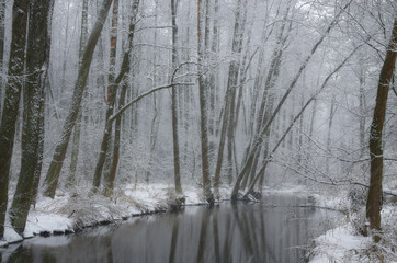 Zimowy brzeg © Tomek Kiecana