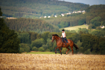 Horsewoman with horse galloping on a stubble field in summer photographed from the front from some...