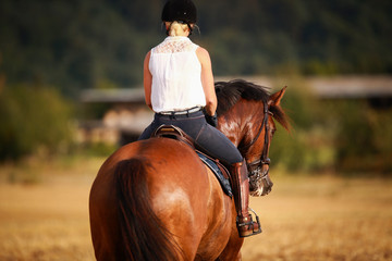 Rider with helmet and blouse on a horse, photographed from behind..