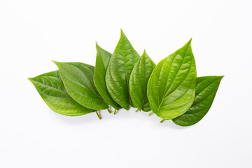 Green betel leaves, Fresh piper betle on white