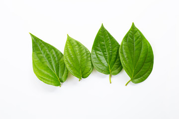 Obraz premium Green betel leaves, Fresh piper betle on white