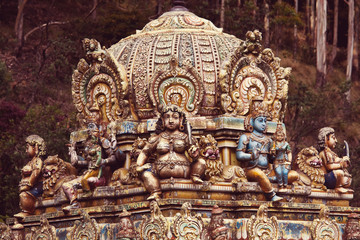Fototapeta na wymiar Statue on Sri Lanka