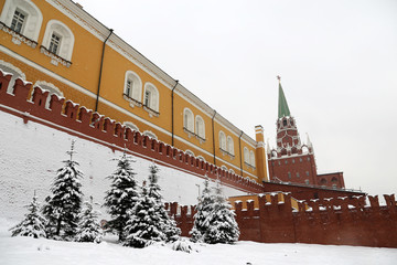 Snowfall in Moscow, Kremlin wall and tower with snow covered fir trees. Troitskaya tower in the...
