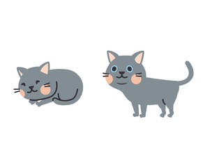 猫　セット