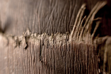 Abstract colored background close up. Macro.