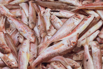 Fish at seamarket