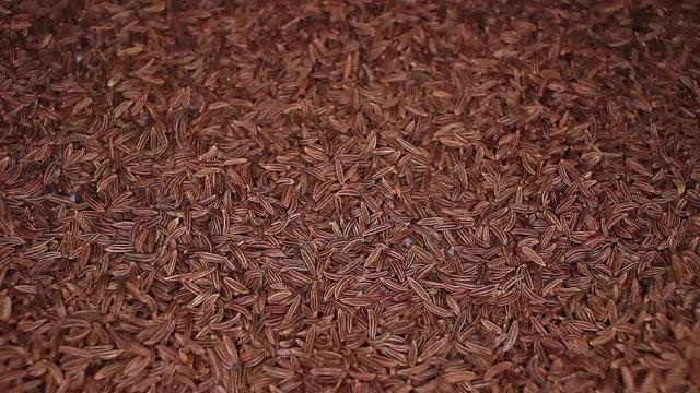 Cumin caraway seeds seed rotating seamless looping food texture pattern close up footage