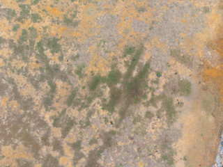 Vertical view of dry land and grass