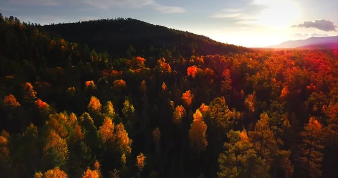 Flying above the great autumn forests at sunset in Sikhote-Alin Nature Reserve, a biosphere reserve in Russia. It is an important reserve for the endangered Siberian tiger was founded in 1935. Aerial