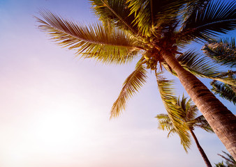 Naklejka na ściany i meble Beautiful tropical beach with palm trees.