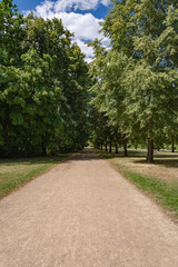 Fototapeta na wymiar path through the city park