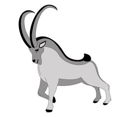 mountain goat, vector illustration ,  profile view, flat
