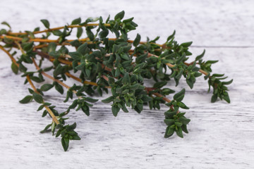Green Thyme branch