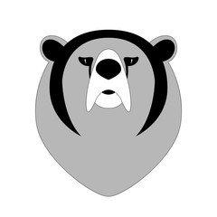 bear face, vector illustration ,  front view,