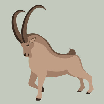 mountain goat, vector illustration ,  profile view, flat