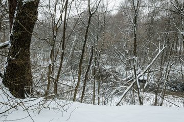 Winter landscape with trees hanging over the river