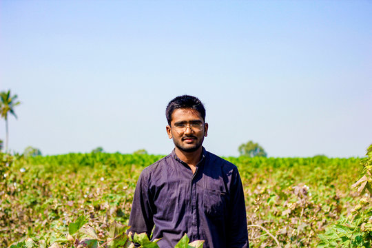 Indian Farmer In Cotton Field