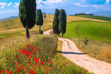Fototapete Toscane Sommer-Toskana-Landschaft mit Getreidefeldern und Landstraße, Italien